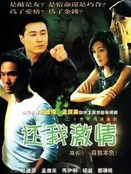 还我激情海报