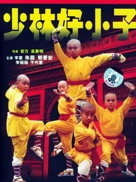 少林龙小子海报