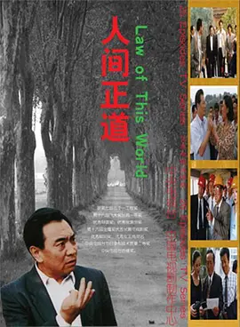人间正道海报