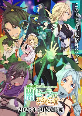 天才治疗师退队作为无照治疗师快乐过活海报