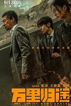 万里归途海报