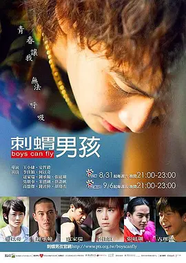刺猬男孩海报