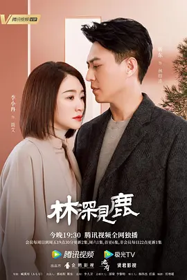 林深见鹿海报