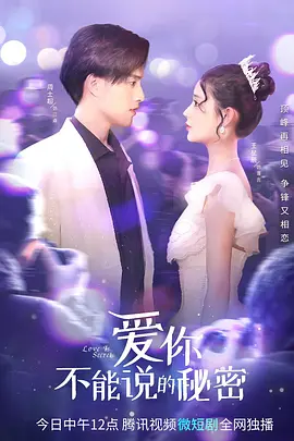 爱你·不能说的秘密海报