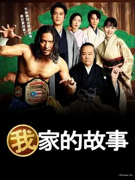 我家的故事海报