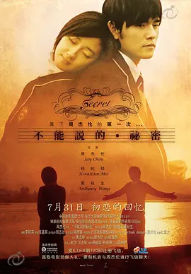 不能说的秘密海报