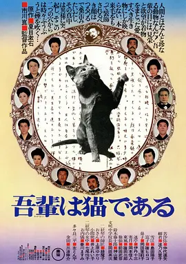我是猫海报