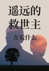 《遥远的救世主》在说什么封面