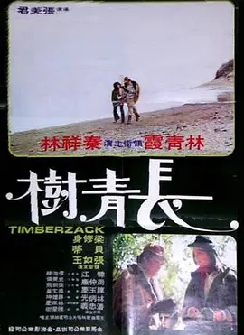 长青树海报