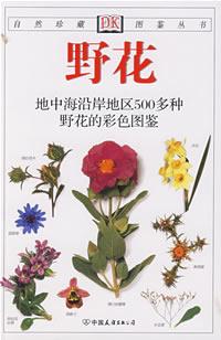 野花封面
