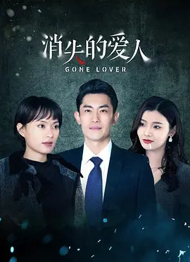 消失的爱人海报