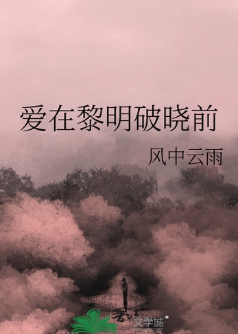 爱在黎明破晓前封面