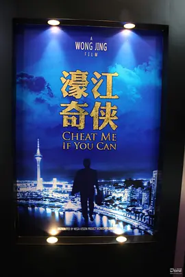 濠江奇侠海报