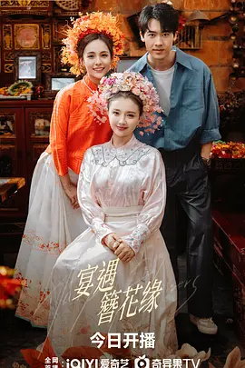 宴遇簪花缘海报