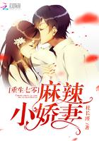 那年与你共芳华封面