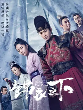 锦衣之下海报