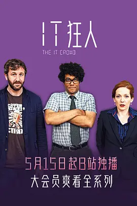 IT狂人特别篇海报