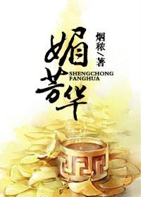医女芳华封面
