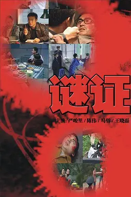 谜证海报