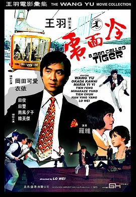 冷面虎海报