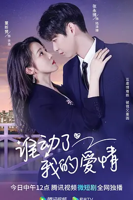 谁动了我的爱情海报