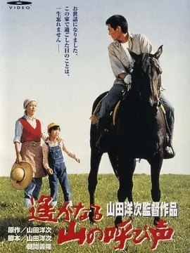 远山的呼唤海报