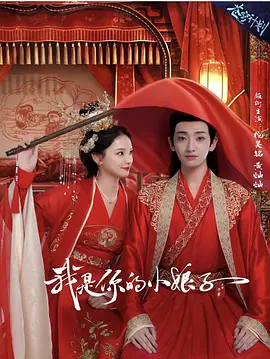 我是你的小娘子海报