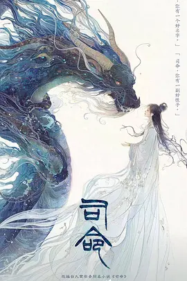 司命海报