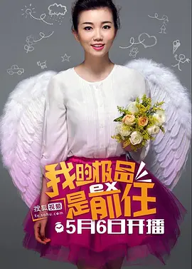 极品女士 第一季海报