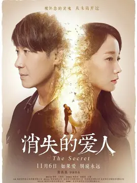 消失的爱人海报