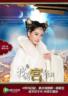 我为宫狂2海报