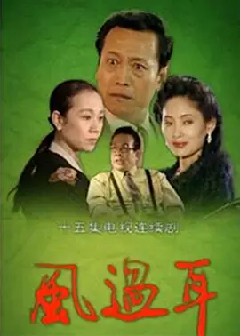 风过耳海报