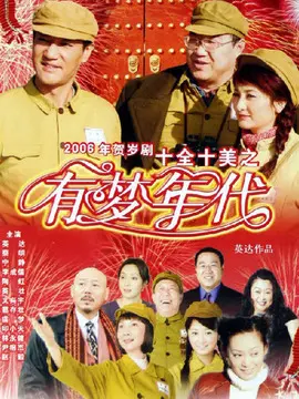 十全十美之有梦年代海报