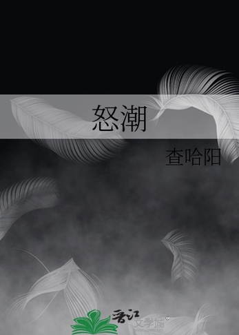 怒潮封面