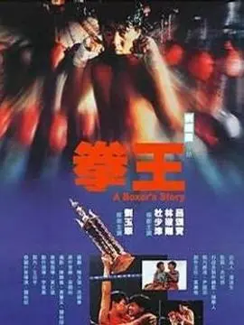 拳王海报