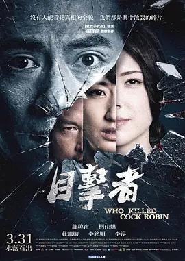 目击者之追凶 目擊者海报