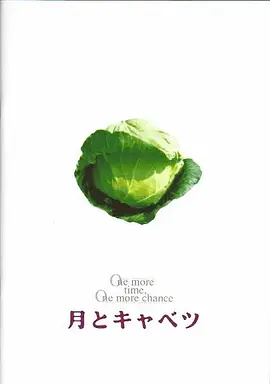 月亮与高丽菜海报