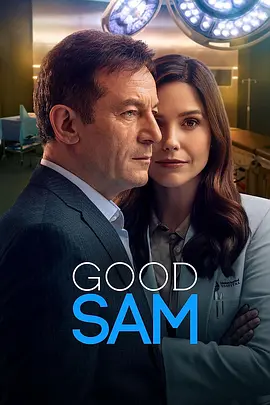 仁医莎姆 Good Sam海报