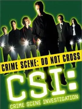 犯罪现场调查第一季海报