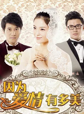 因为爱情有多美海报
