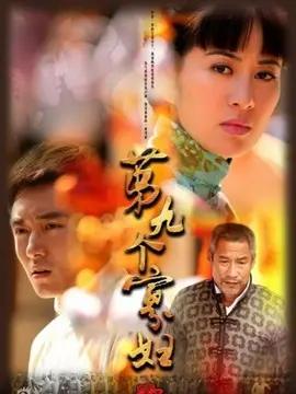 第九个寡妇海报