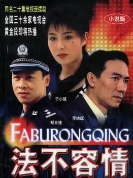 法不容情海报