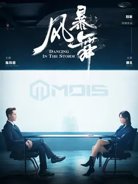 风暴舞海报