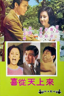 喜从天上来海报