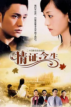 情证今生海报