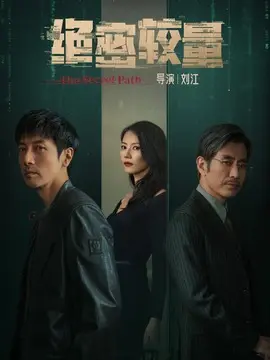 绝密较量海报