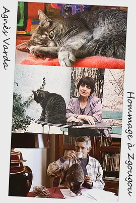 致敬茨咕咕海报