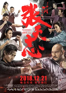 叶问外传：张天志 葉問外傳：張天志海报