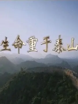 生命重于泰山海报