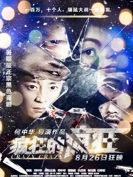 疯狂的疯狂海报